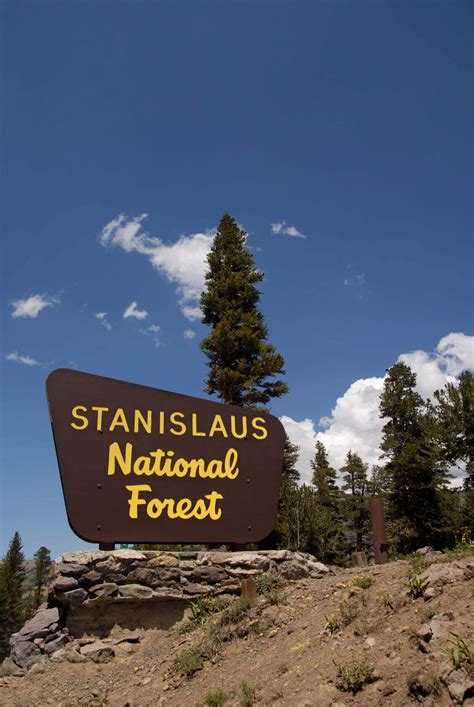 Stanislaus forest - Stanislaus National Forest is a United States national forest which manages 898,099 acres of land in four counties in the Sierra Nevada Mountains of Northern California. It was established on February 22, 1897, making it one of the country's oldest national forests. 